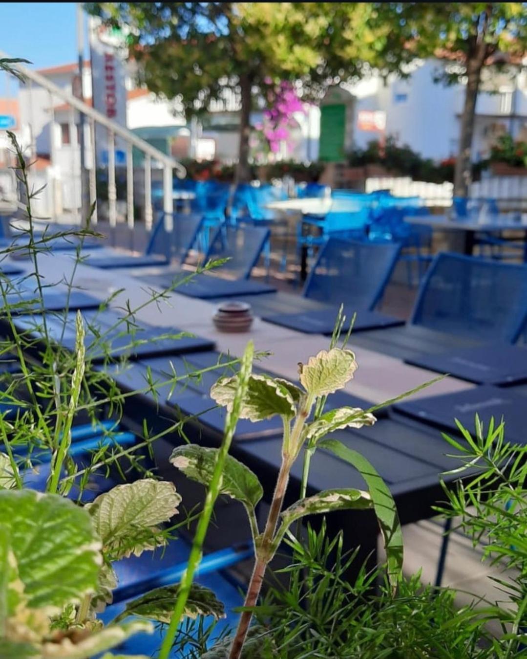 Apartments Ars Vivendi Trogir Bagian luar foto
